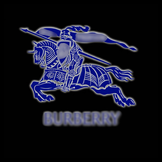 All Burbery Supplier